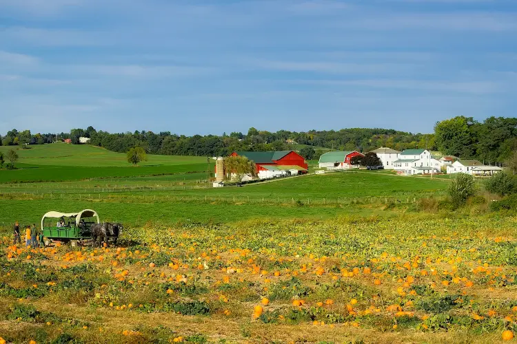 Amish Pole Barn Construction in Penns Grove, NJ - Rossbrook Construction Farm with pole barn in the distance.