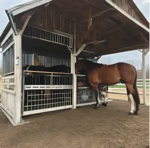 Amish Pole Barn Construction in Woodbury, NJ - Rossbrook Construction Full equestrian stable