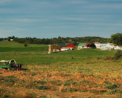 Dallas Town, PA Amish Pole Barn Builder - Rossbrook Construction